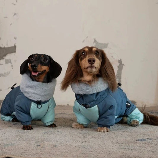 Thick Down Dog Coat – Cloud Wrap Series Warm Winter Jacket for Dachshunds, Schnauzers & Small Breeds, Four-Leg Cotton Onesie