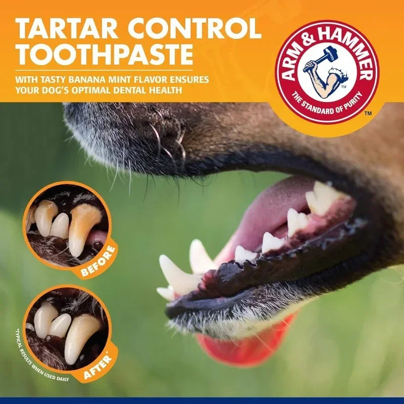 Pet Dental Care Kit – Dog Toothbrush & Toothpaste Set for Plaque Removal, Fresh Breath & Healthy Gums (All Breeds)