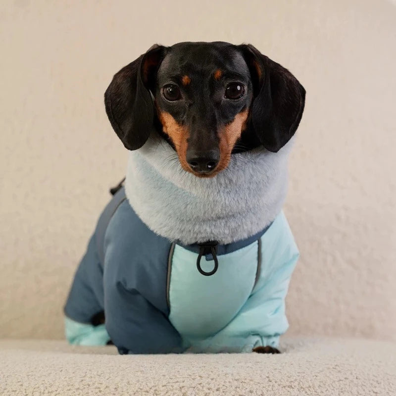 Thick Down Dog Coat – Cloud Wrap Series Warm Winter Jacket for Dachshunds, Schnauzers & Small Breeds, Four-Leg Cotton Onesie